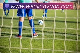 施密德精彩进球助奥地利战胜约旦 中超旧将再现精彩瞬间